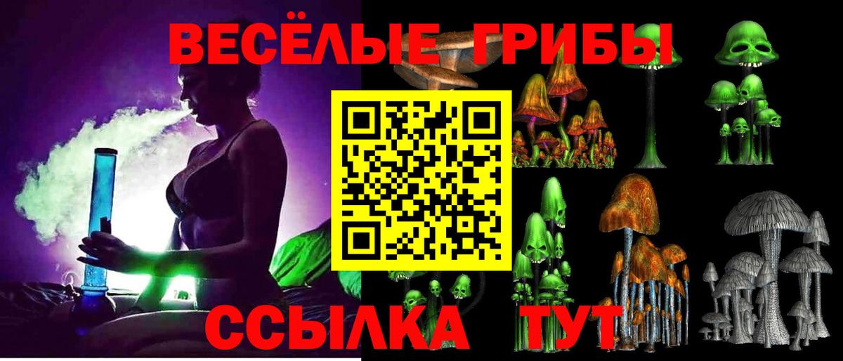 Галлюциногенные грибы прущие грибы Зеленокумск