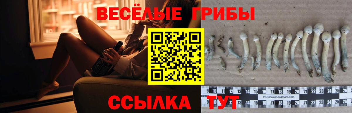 купить наркоту  Вход с VPN  Псилоцибиновые грибы ЛСД  Зеленокумск  Галлюциногенные грибы GOLDEN TEACHER 